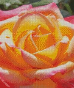 Rosa Peace Diamond Painting