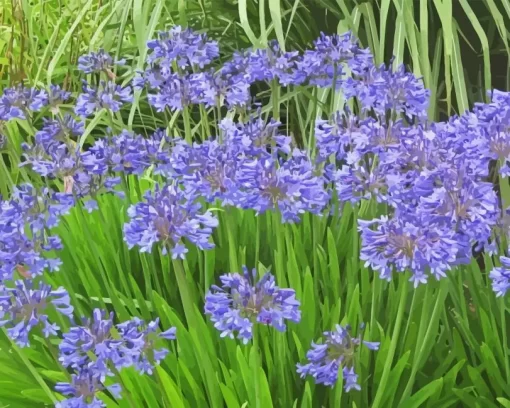 Agapanthus Diamond Painting