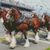 Budweiser Clydesdales Diamond Painting