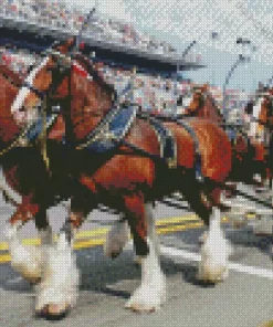 Budweiser Clydesdales Diamond Painting