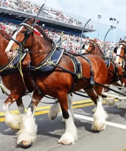 Budweiser Clydesdales Diamond Painting