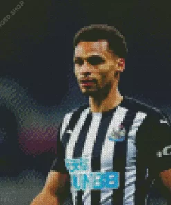 Jacob Murphy Diamond Painting