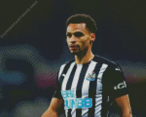 Jacob Murphy Diamond Painting