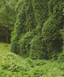 Kudzu Diamond Painting