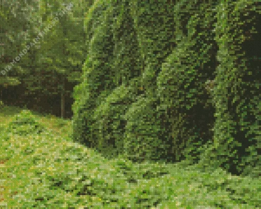 Kudzu Diamond Painting