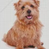 Norfolk Terrier Diamond Painting