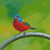 Painted Bunting Diamond Painting