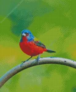 Painted Bunting Diamond Painting