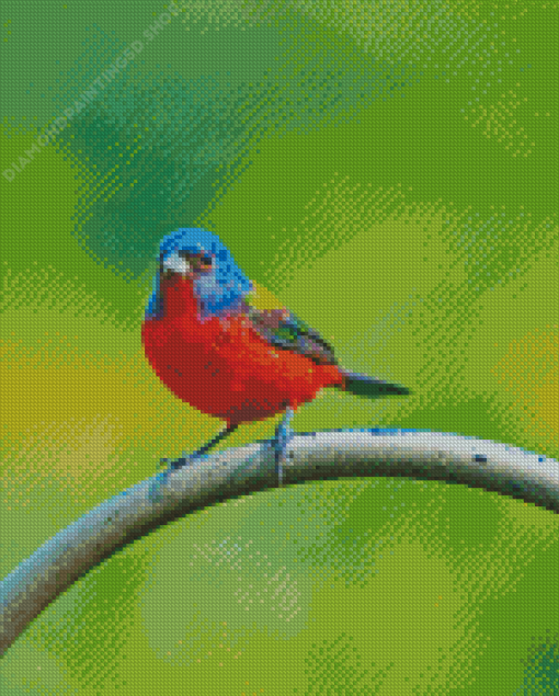 Painted Bunting Diamond Painting