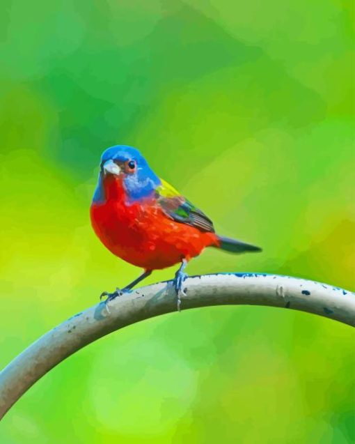 Painted Bunting Diamond Painting