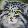 Pallas Cat Diamond Painting