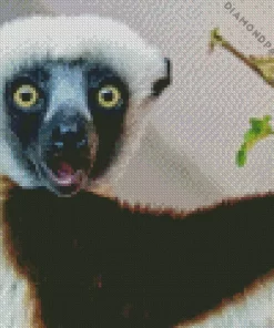 Sifaka Diamond Painting