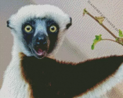 Sifaka Diamond Painting