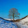 Sycamore Gap Diamond Painting