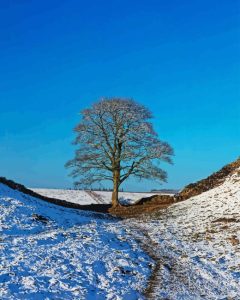 Sycamore Gap Diamond Painting