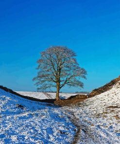 Sycamore Gap Diamond Painting