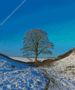 Sycamore Gap Diamond Painting