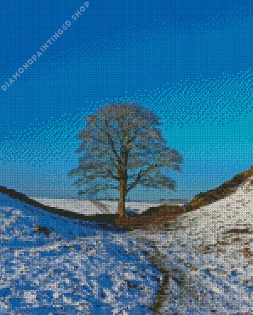 Sycamore Gap Diamond Painting