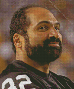 Franco Harris Diamond Painting