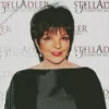 Liza Minnelli Diamond Painting