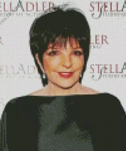 Liza Minnelli Diamond Painting