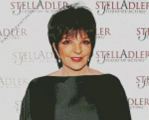 Liza Minnelli Diamond Painting