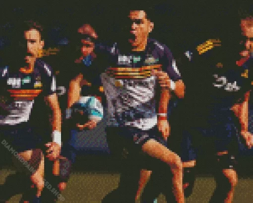 ACT Brumbies Diamond Painting