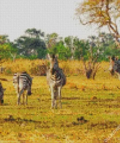 Africa Botswana Diamond Painting