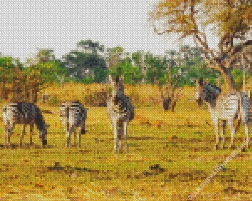 Africa Botswana Diamond Painting