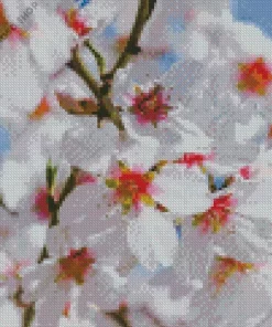 Almond Flower Diamond Painting