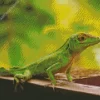 Anolis Garmani Diamond Painting