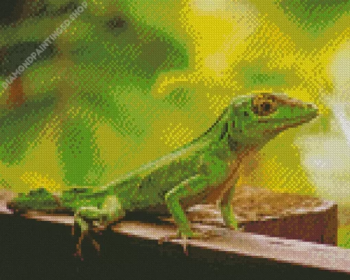 Anolis Garmani Diamond Painting