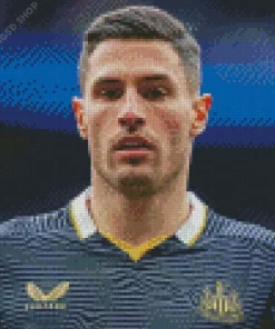 Fabian Schar Diamond Painting