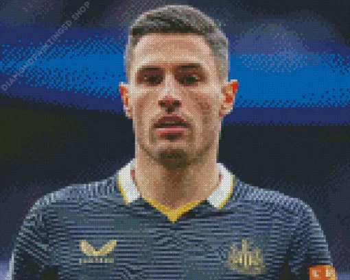 Fabian Schar Diamond Painting