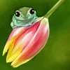 Frog On Tulip Diamond Painting