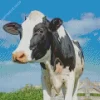 Hostein Cow Diamond Painting