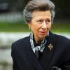 Princess Anne Diamond Painting