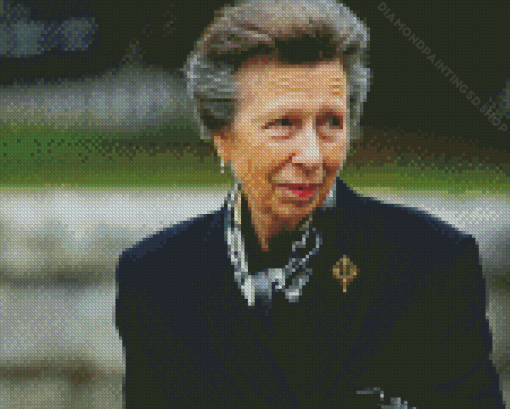 Princess Anne Diamond Painting