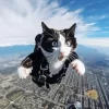 Cat Skydiving Diamond Painting