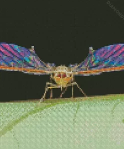 Insect Wings Diamond Painting