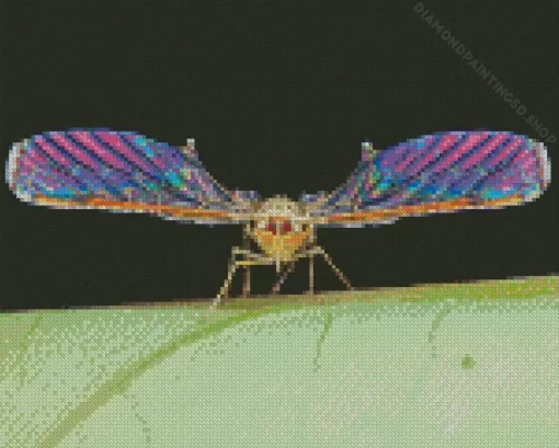 Insect Wings Diamond Painting