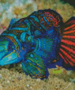 Dragonet Mandarin Fish Diamond Painting