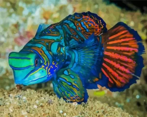 Dragonet Mandarin Fish Diamond Painting