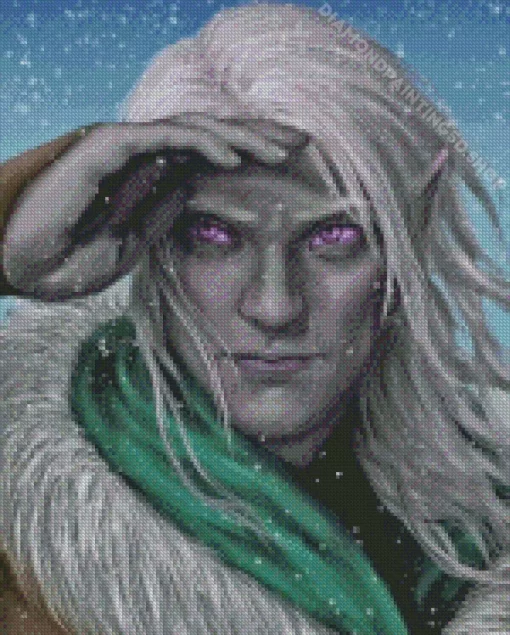 Drizzt Dourden Diamond Painting