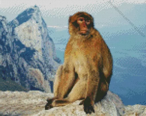 Gibralter Ape Diamond Painting