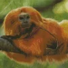 Golden Marmoset Diamond Painting