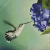 Hummingbird And Hydrangea Diamond Painting