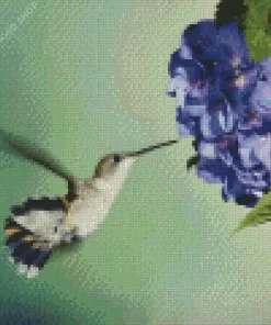 Hummingbird And Hydrangea Diamond Painting