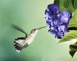 Hummingbird And Hydrangea Diamond Painting