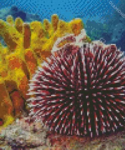 Sea Urchin Diamond Painting